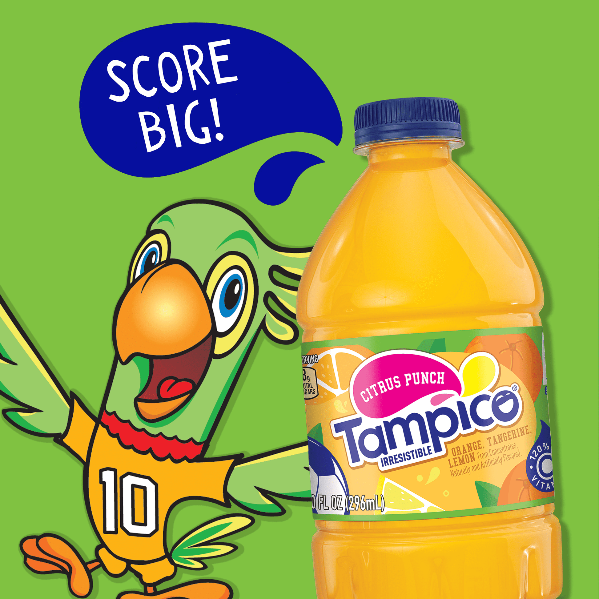 Tampico Citrus Punch Orange Tangerine Lemon Juice Drink 10 fl oz 15 Pack