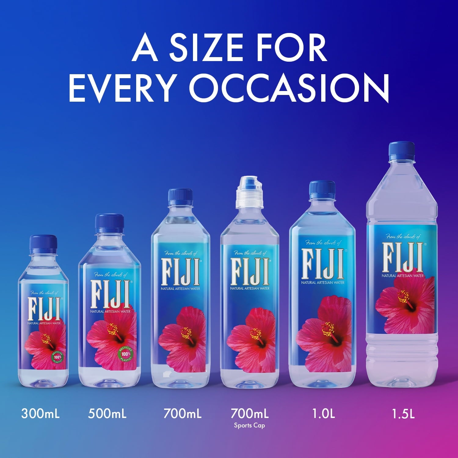 (2 pack) FIJI Natural Artesian Water, 16.9 fl. oz. (Pack of 6 Bottles)