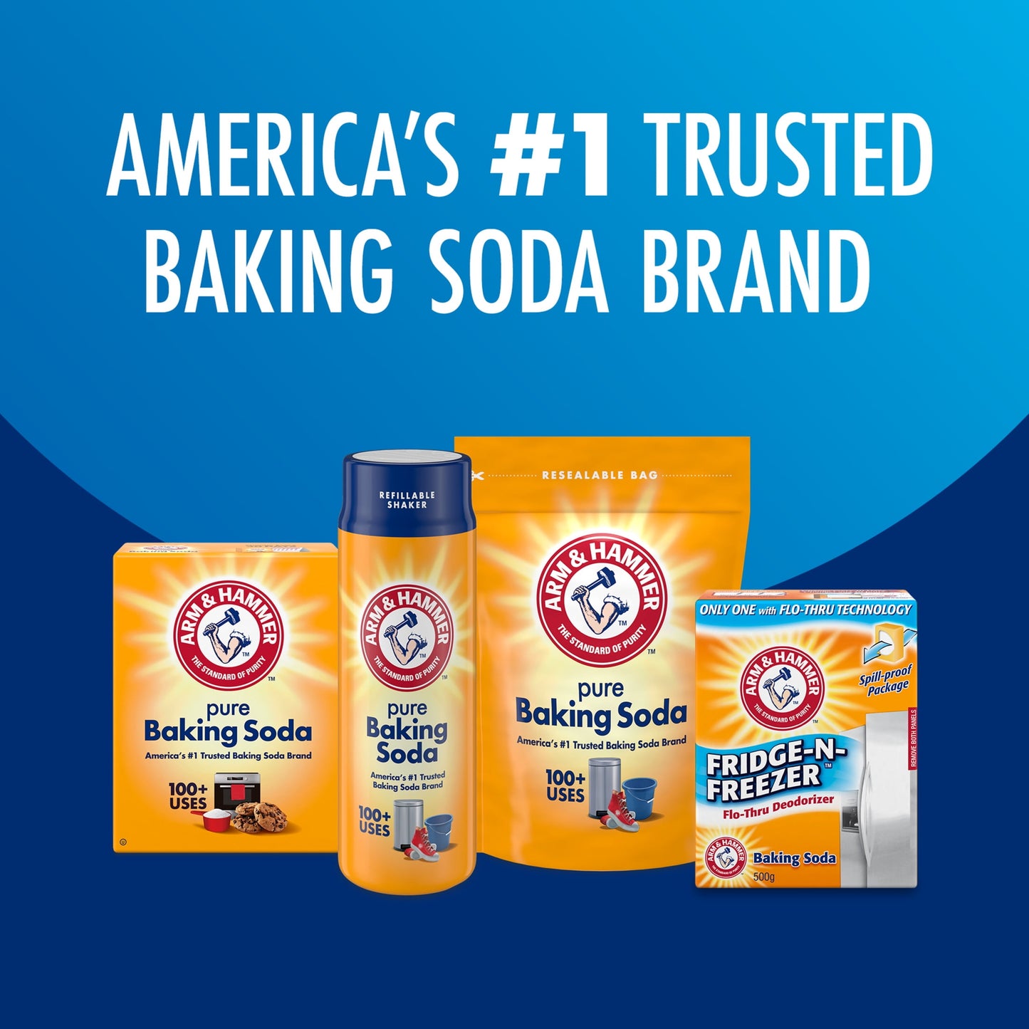 ARM & HAMMER Pure Multi-Purpose Baking Soda for Pool, Cleaning, and Deodorizing, 10.8 lb Bag