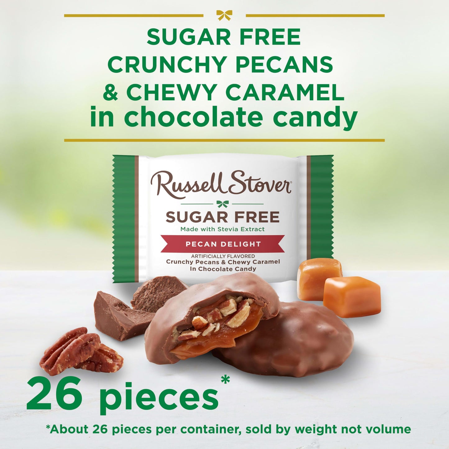 RUSSELL STOVER Sugar Free Pecan Delight Chocolate Candy, 15.5 oz. bag