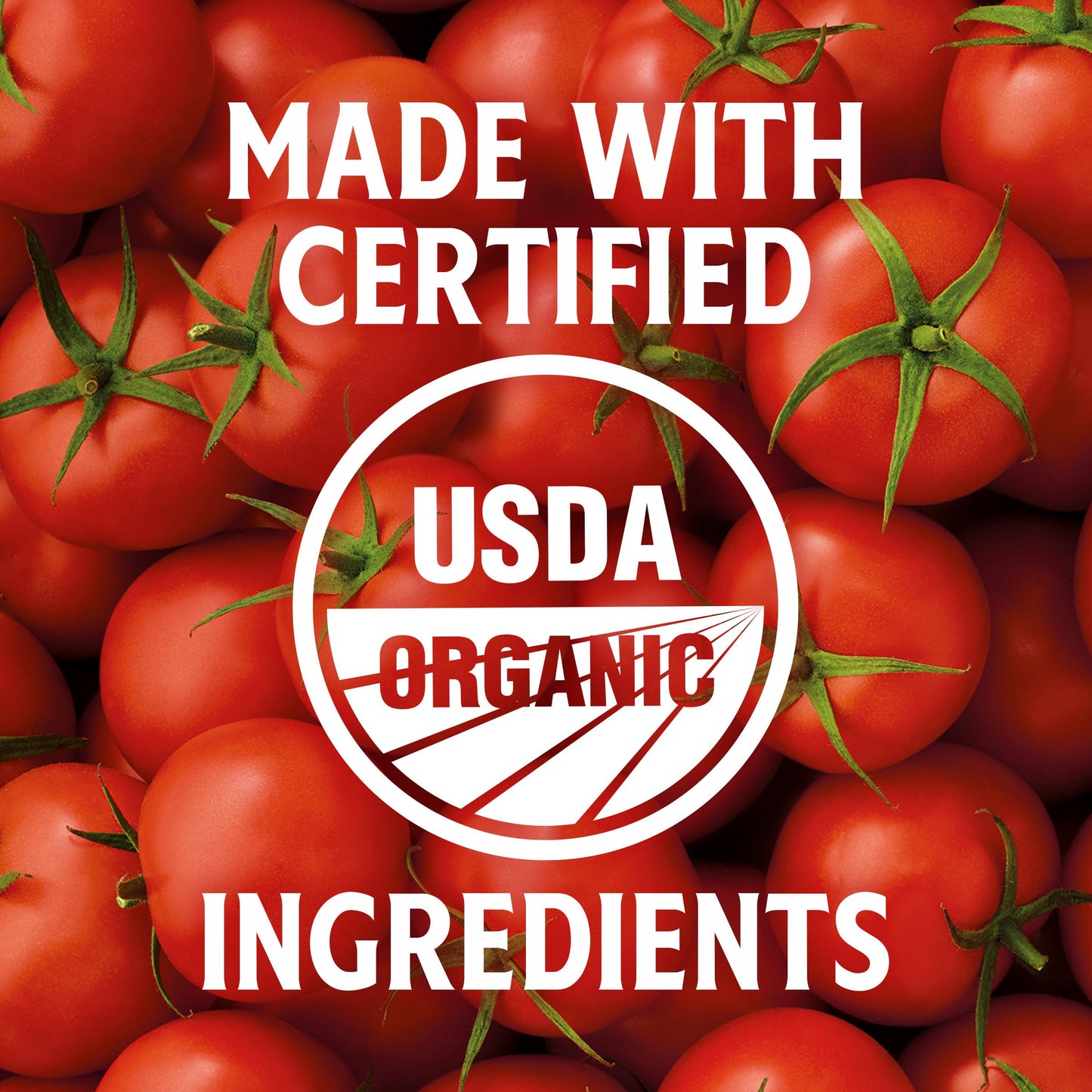 Heinz Organic Tomato Ketchup, 32 oz Bottle