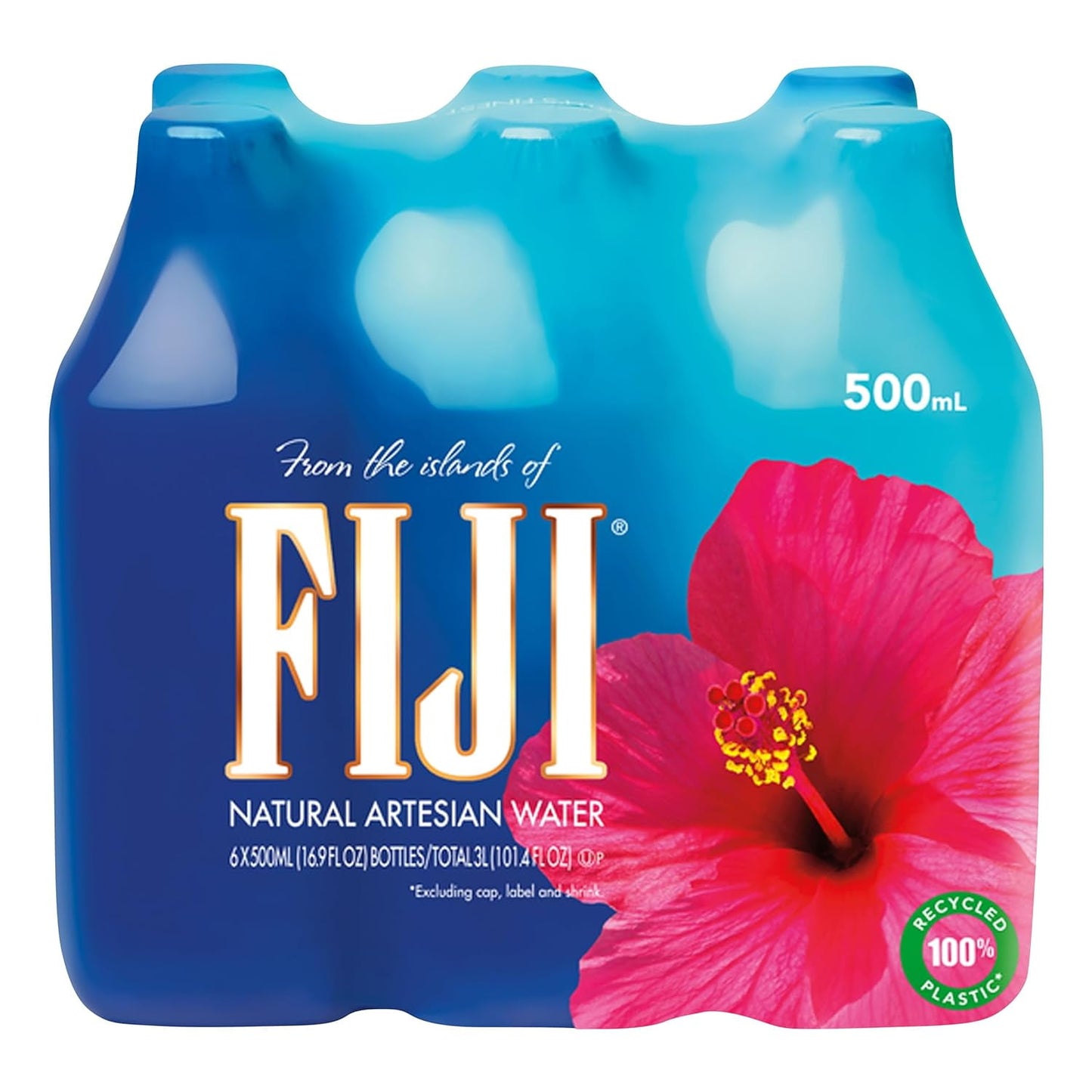 (2 pack) FIJI Natural Artesian Water, 16.9 fl. oz. (Pack of 6 Bottles)